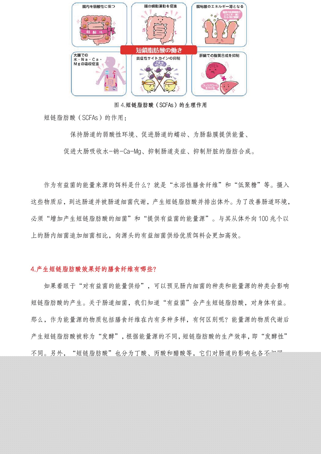 圖片關(guān)鍵詞 圖片關(guān)鍵詞